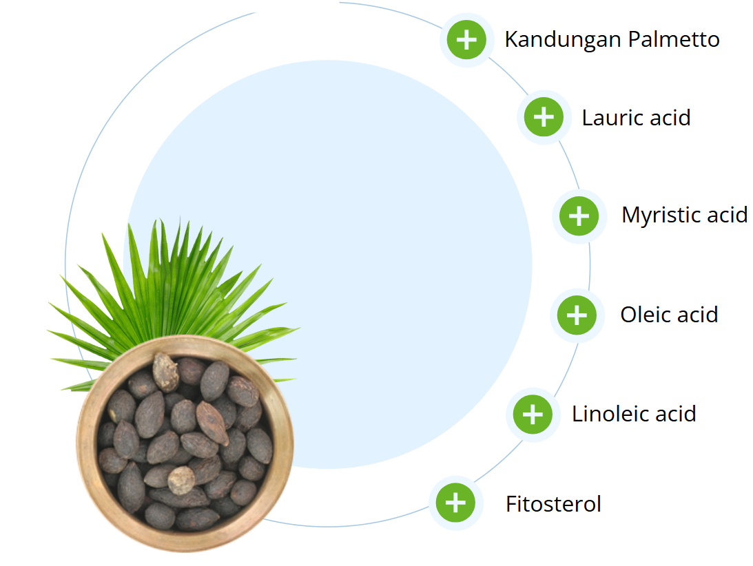 Saw Palmetto